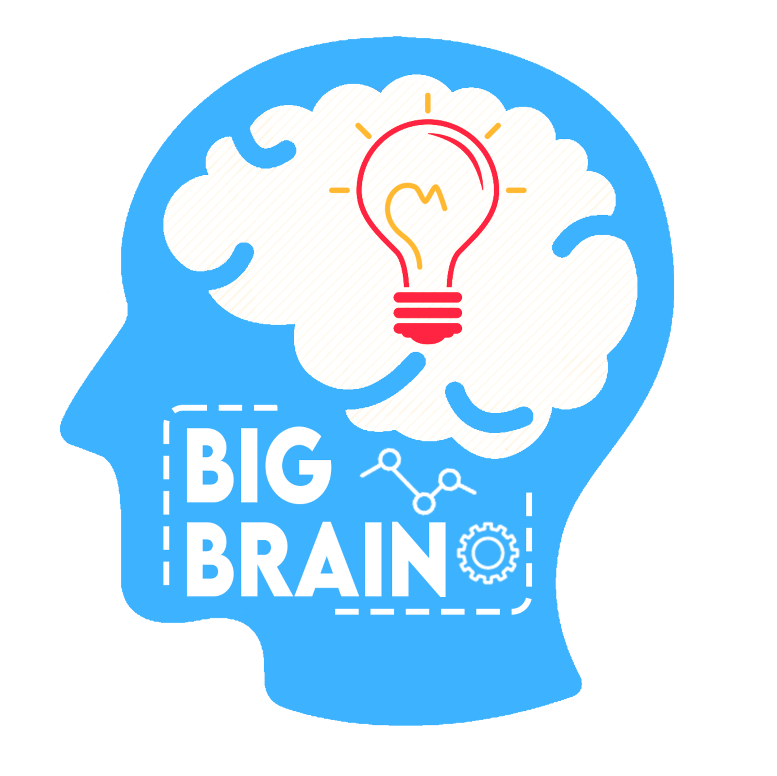 Projects And Programs - Big Brain Community